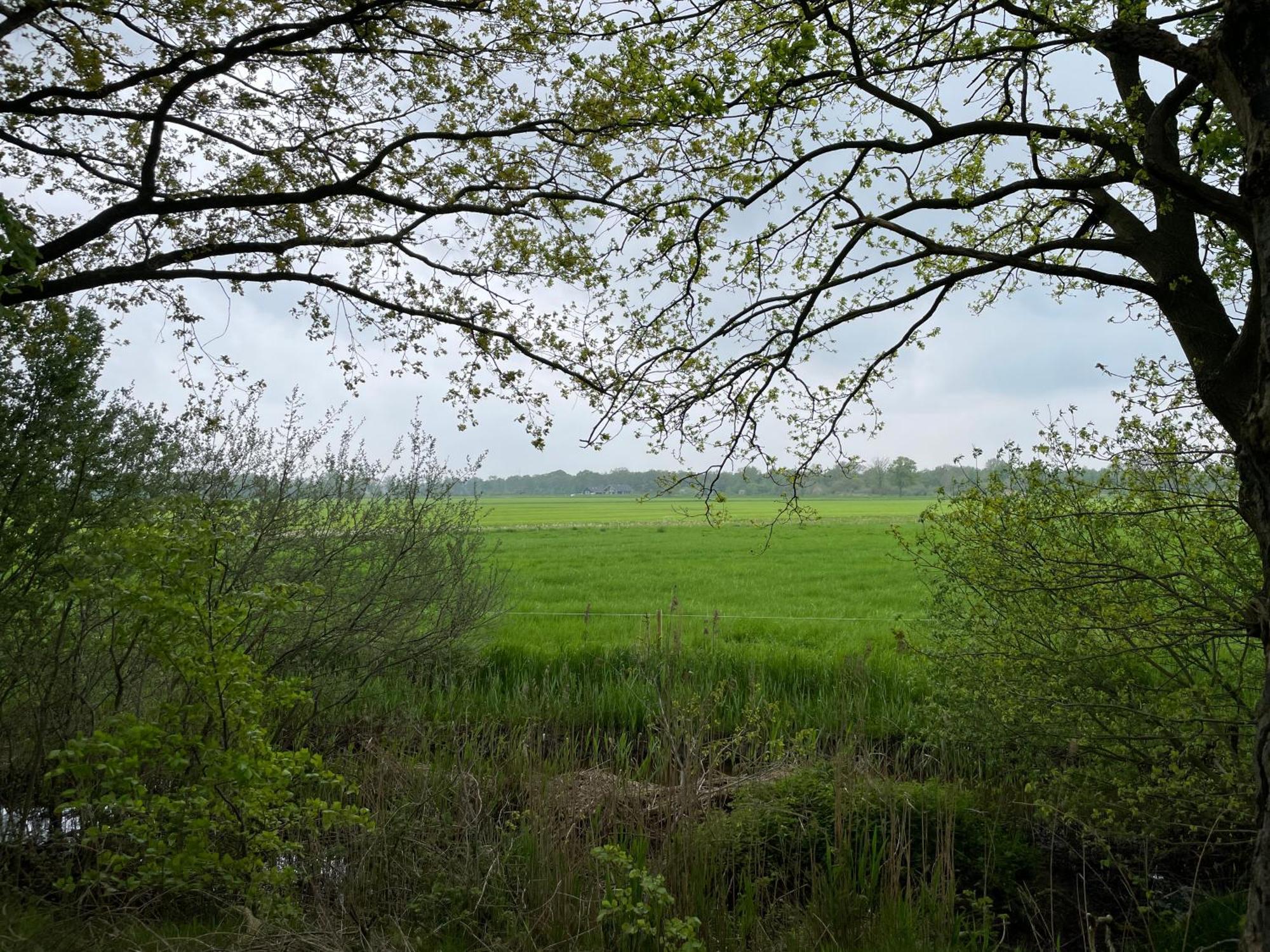Het Riethuis Holthone Exterior photo